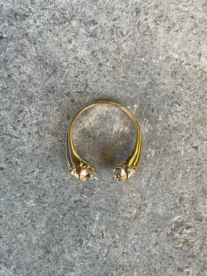 Pasha Ring