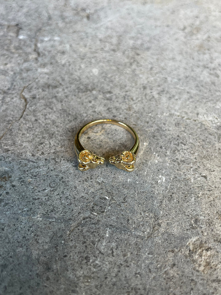 Aries Ring